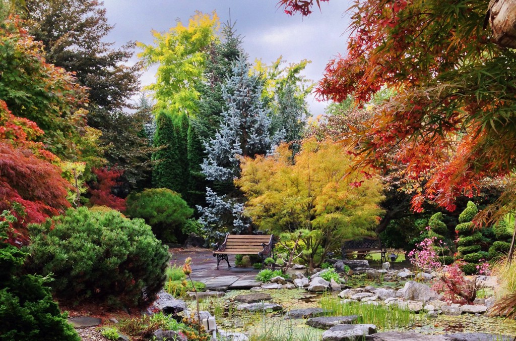Japanese garden fall colors